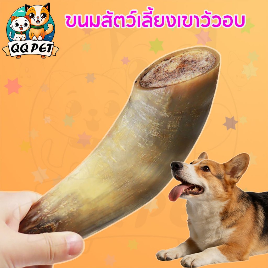 QQ  กระดูกวัวขัดฟันสุนัขอบแห้ง มีไขกระดูกเสริมแคลเซียม ทนทานกัด ปลอดภัย