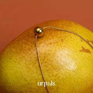 URPALS สร้อยคอ สร้อยคอโชคเกอร์ Stainless ชุบทอง18K ไม่ลอกไม่ดำ แพ้ง่ายใส่ได้