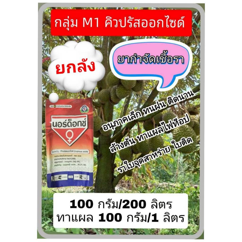 บริษัทเทพวัฒนา นอร์ด็อกซ์ 1 กิโลกรัม ยกลัง 12 ขวด คิวปรัสออกไซด์ กลุ่ม 1 สารกำจัดเชื้อรา ใบติด ใบจุดสาหร่าย ไฟท็อปเทอร่า