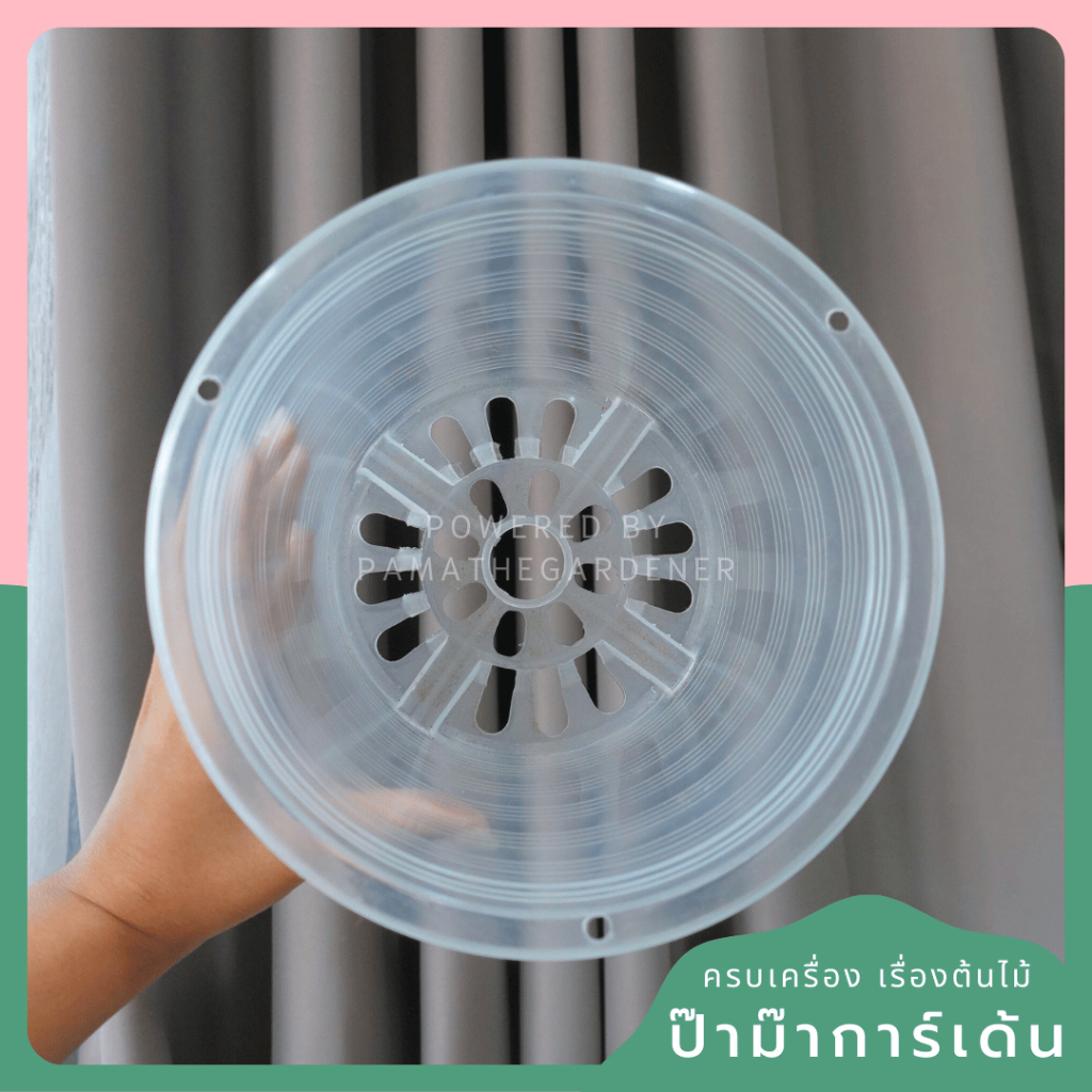 Clear Plastic Root Display Pots (6', 8', 10') - View 3