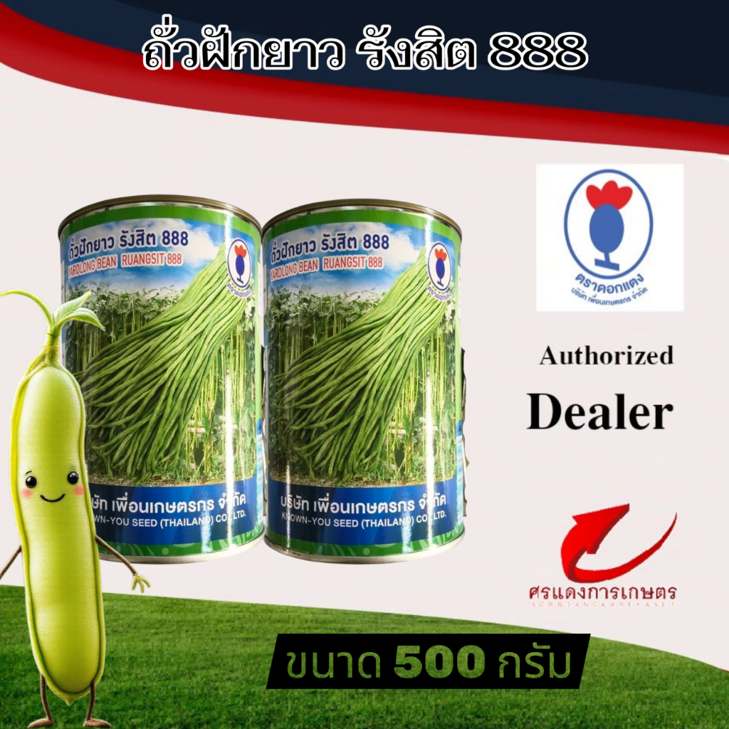 ถั่วฝักยาวรังสิต888 500g