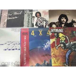 แผ่นเสียงไวนิว LP ขนาด 12 นิ้ว  ร้าน Qijianmusic K250