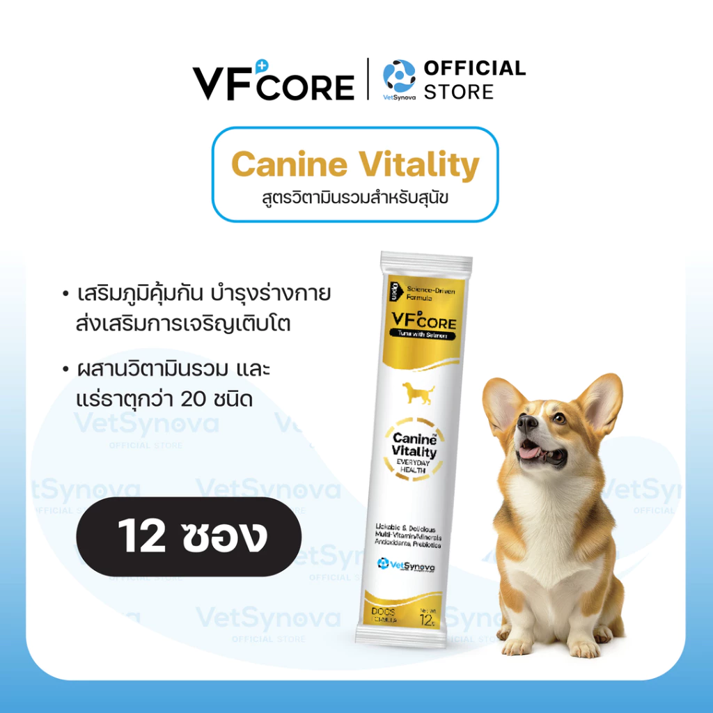 VFcore Canine Vitality วิตามินสำหรับสุนัข สูตรวิตามินรวม (12 ซอง) วิตามินสุนัข
