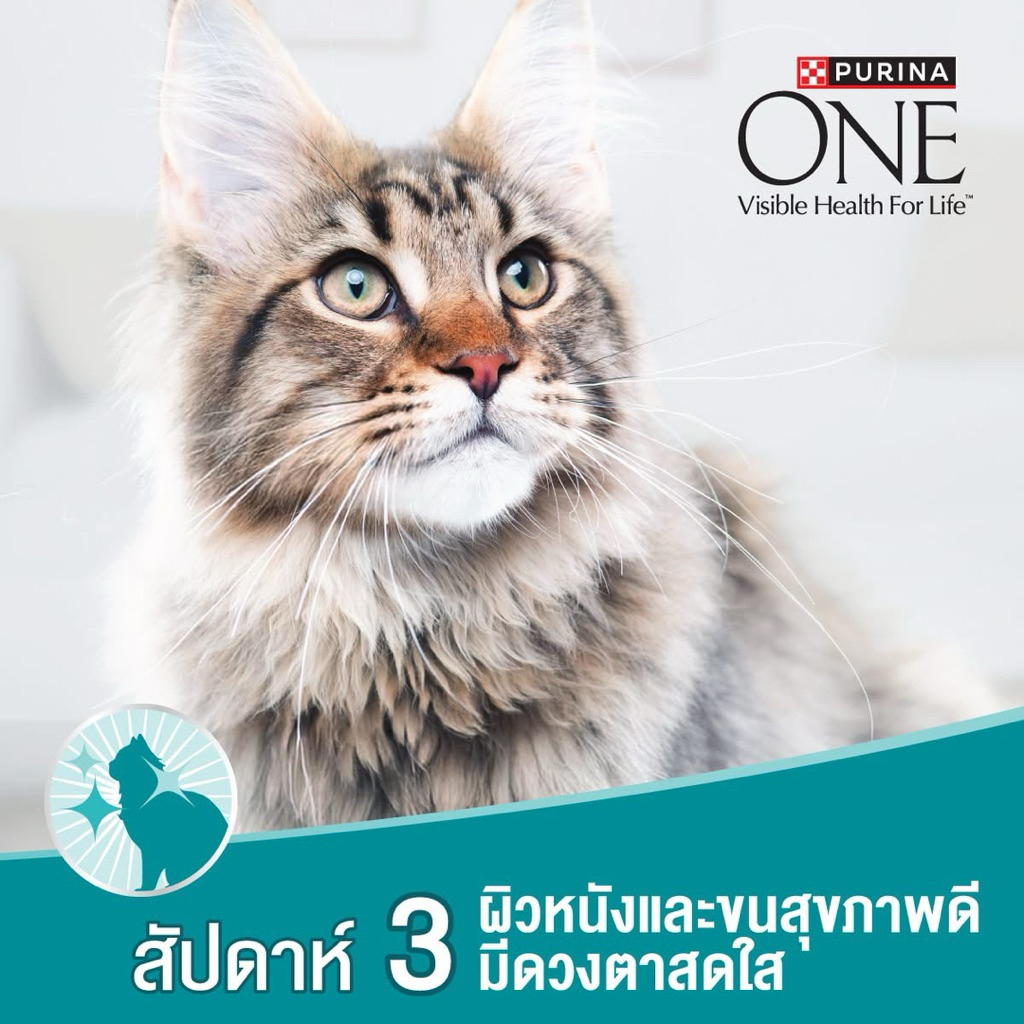 [แบ่งขาย1kg] Purina One อาหารแมว แบบแบ่งขาย แพคหนา ถุง2ชั้นขนาด1กิโลกรัม - รูปที่ 4