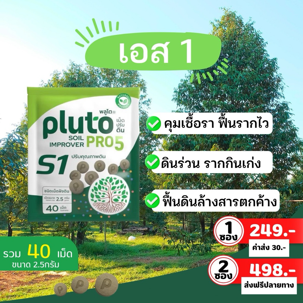 พลูโตไบโอกรีน2.5กรัม400เม็ด/10กรัม100เม็ด