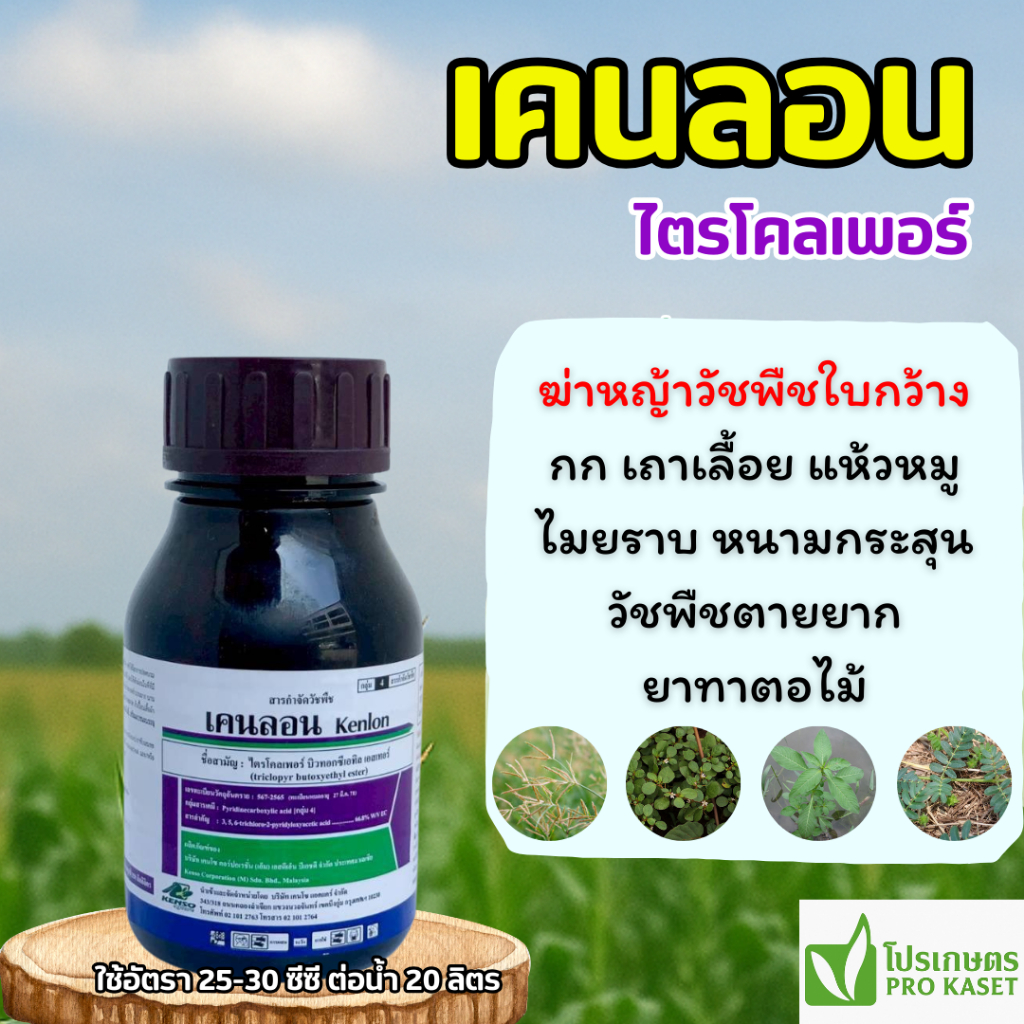 เคนลอน (ไตรโคลเพอร์) 250 มล. ยาฆ่าตอ กำจัดหญ้าใบกว้าง เครือเถา ไมยราบ ตายเรียบ ใช้ได้ในอ้อย ข้าว สวน