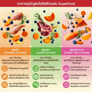 เคลลี่แอนด์โค รอว์โค็ต อาหารสุนัขเม็ดเคลือบฟรีซดราย (Grain-Free) ขนาด 1.36 กก.