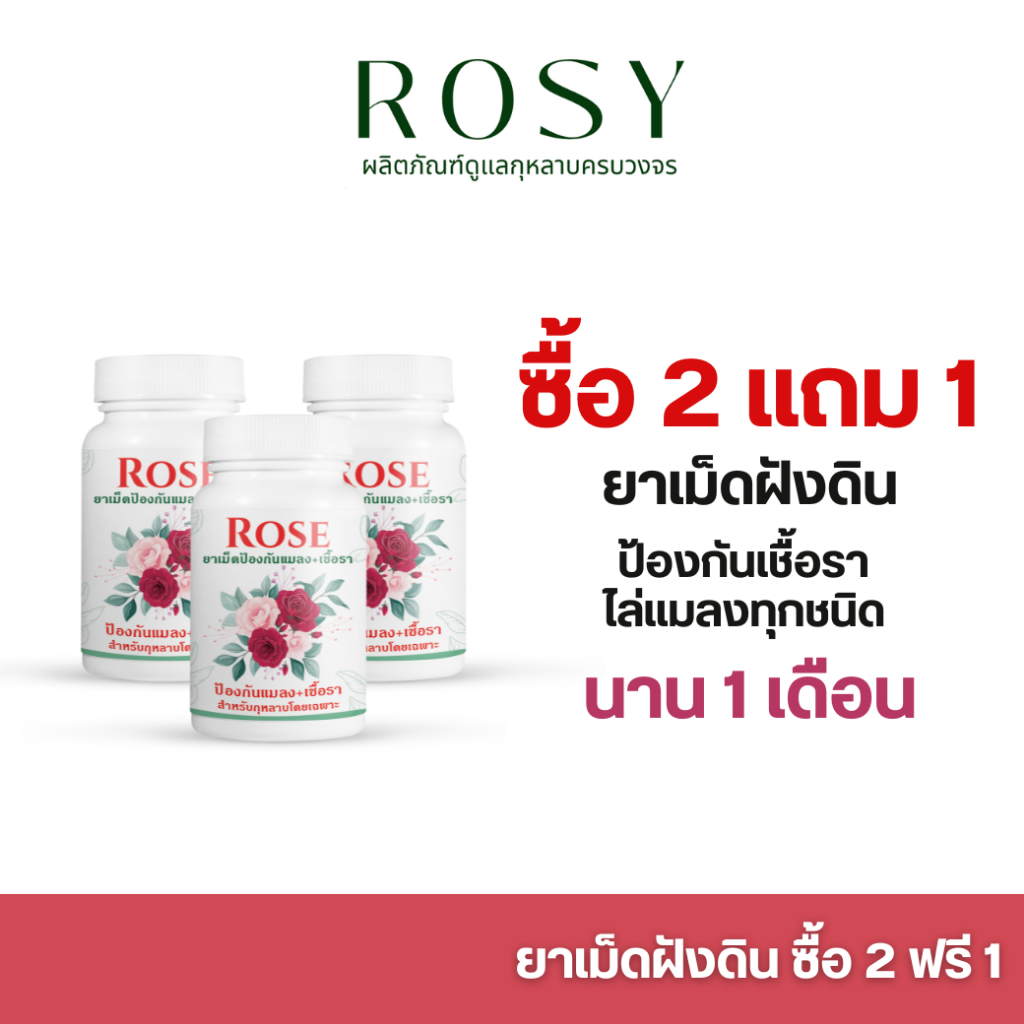 Rosy ยาเม็ดฝังดิน [ 2 แถมฟรี 1 กระปุก] ป้องกันก่อนเกิดเชื้อราและแมลง ผนังเซลล์แข็งแรงทนต่อการเจาะดูดของแมลง