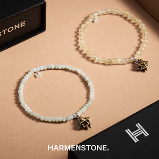 กังหันแชกงหมิว X 13 อัญมณีมงคล I The Che Kung Miu X 13 Fortune Gemstones