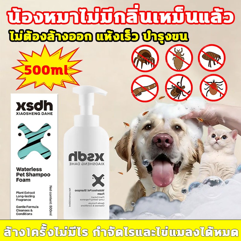 โฟมอาบน้ำแห้งสัตว์เลี้ยง ลดการสะสมของแบคทีเรีย แชมพูแห้งสุนัข ไม่ต้องล้างออก แห้งเร็ว บำรุงขน แชมพูแห้งแมว