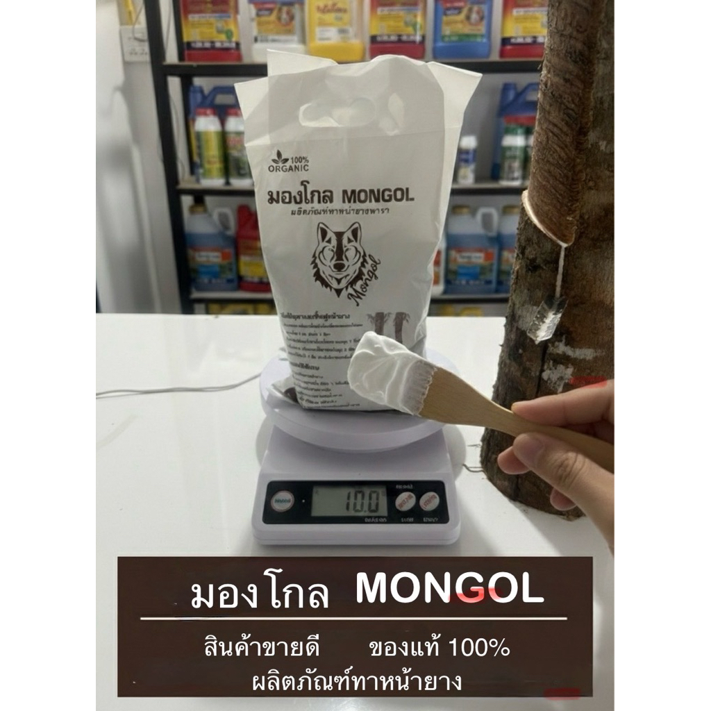 มองโกล MONGOL ผลิตภัณฑ์ทาหน้ายางพารา