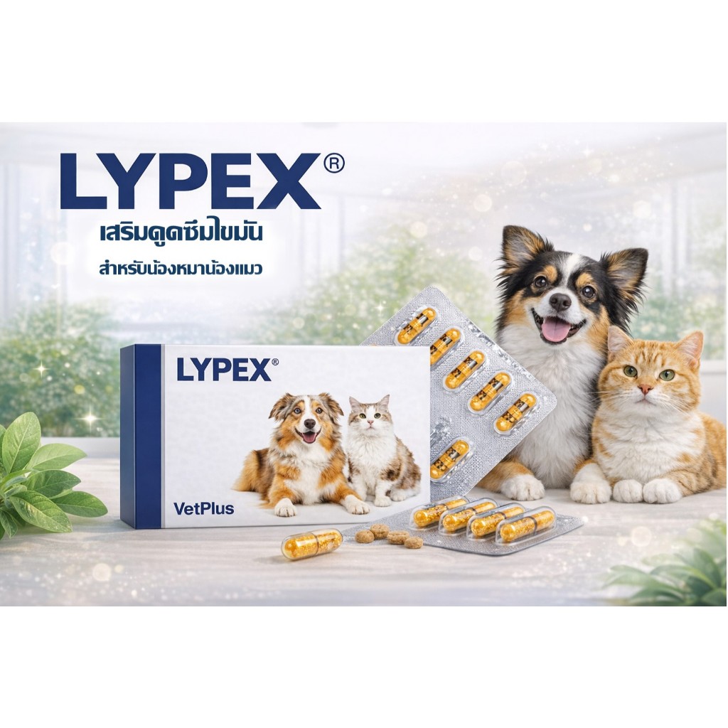 [TJ] ส่งใน 1 วัน !! Lypex 15 capsules ไลเปก 15 แคปซูล เอนไซม์อาหารเสริมตับอ่อนอักเสบ
