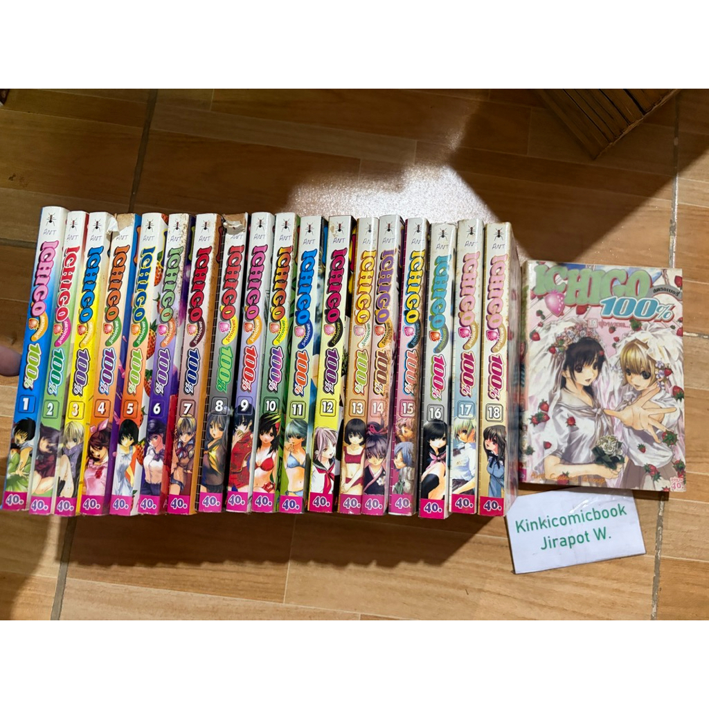 Ichigo 100% อิจิโกะ 19 เล่มจบ สั้น