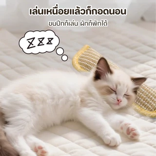 หมอนแมว หมอนอิงแมว ที่อัดแน่นด้วยกัญชาแมว 100% ที่ขัดฟันและกรงเล็บ คลายเครียดและช่วยให้นอนหลับ