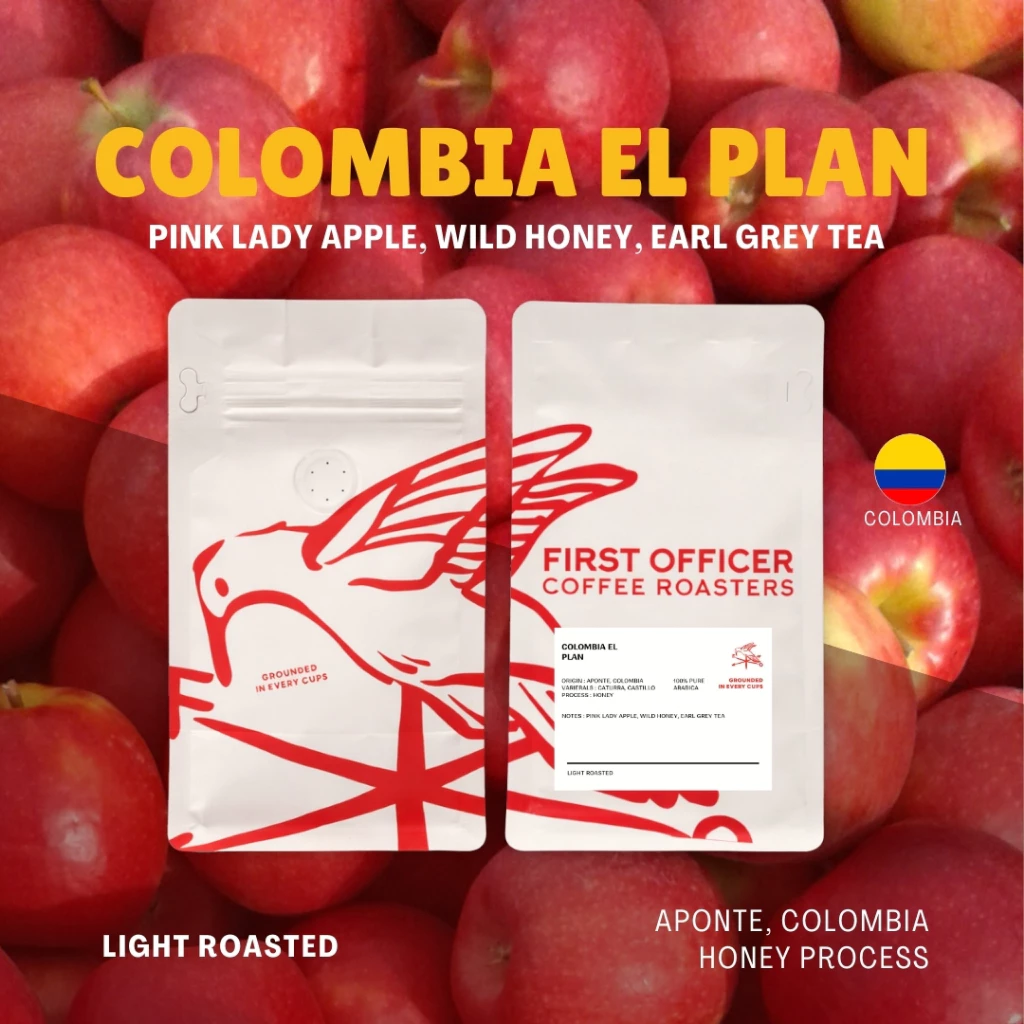 FIRST OFFICER | เมล็ดกาแฟประเทศ โคลัมเบีย (คั่วอ่อน) Colombia El Plan (Honey Process)