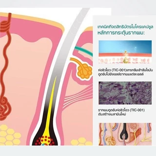 ✅SAFEMILD แชมพู สูตรเฮอร์บัล มายด์ ปิดผมหงอกอย่างมีประสิทธิภาพ ลดผมร่วง บำรุงและซ่อมแซมเส้นผม