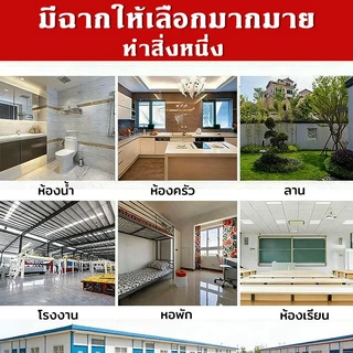 【ขายดี】🔥เก้าอี้สแตนเลส☀️ ทนทาน50 ปี เก้าอี้เด็ก กันลื่น ยืดอายุ รับน้ำหนักถึง300กก. ใช้ในกลางแจ้ง ห้องครัว ห้องน้ำ