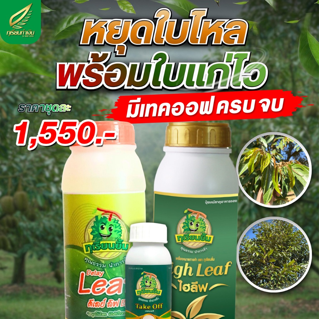 ชุดหยุดใบไหล พร้อมใบแก่ไว มีเทคออฟ