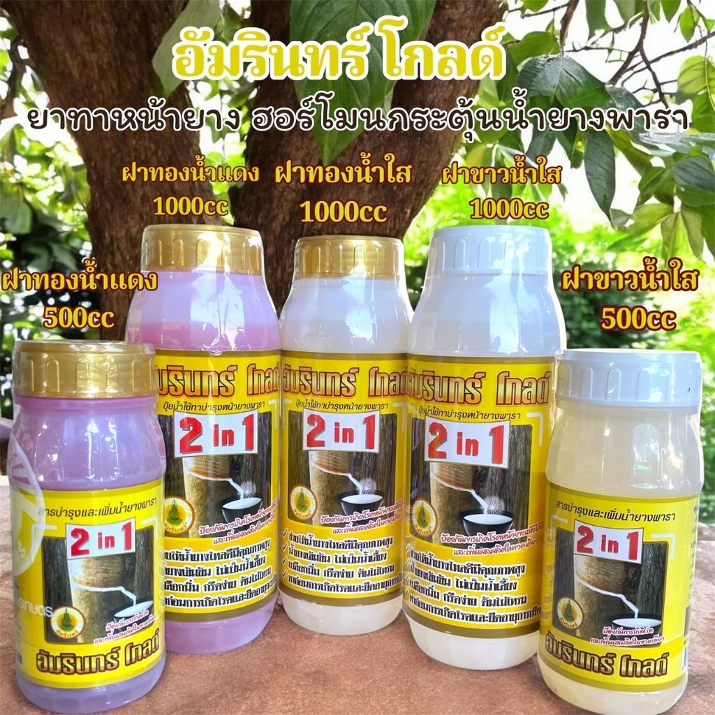 อัมรินทร์ โกลด์ น้ำยาทาหน้ายางพารา ช่วยเพิ่มปริมาณน้ำยาง ฮอร์โมนกระตุ้นน้ำยางพารา ขนาด 1000cc และ 500cc