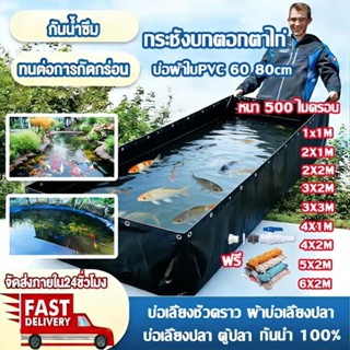 กระชังบกแบบตอกตาไก่สูง60 80ซม.หนา0.50แถมฟรีท่อน้ำทิ้ง(ไม่รวม…
