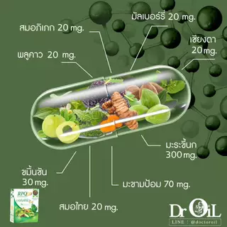 ของแท้ ชุด 2 กล่อง Dr.Oil RPQ A+ อาร์พีคิว เอพลัส จากร้าน Shopee Mall จากงานวิจัย ดร.ออย ม.เชียงใหม่