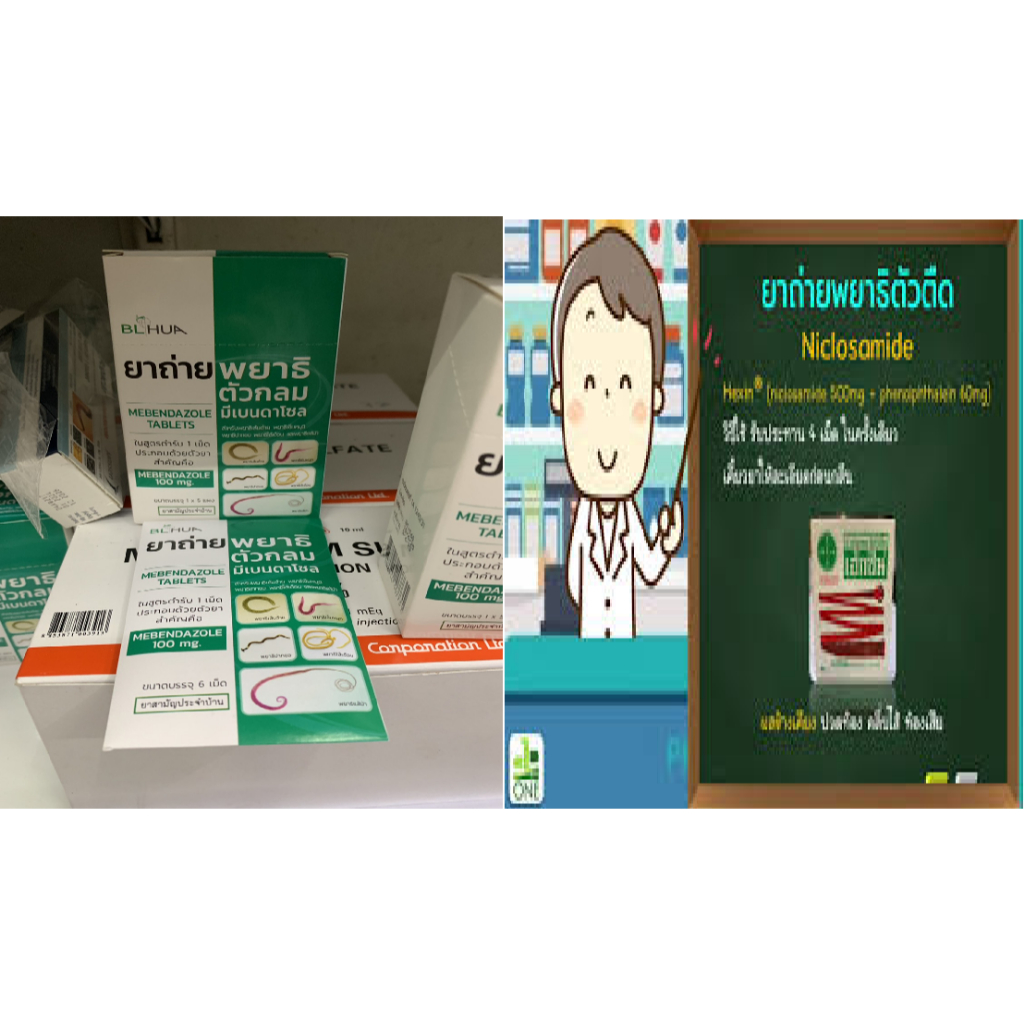 (ยาสามัญประจำบ้าน) ยาถ่ายพยาธิตัวกลม Mebendazole 100mg/เม็ด (แผงละ 6 เม็ด) ตัวตืด แผง 4 เม็ด