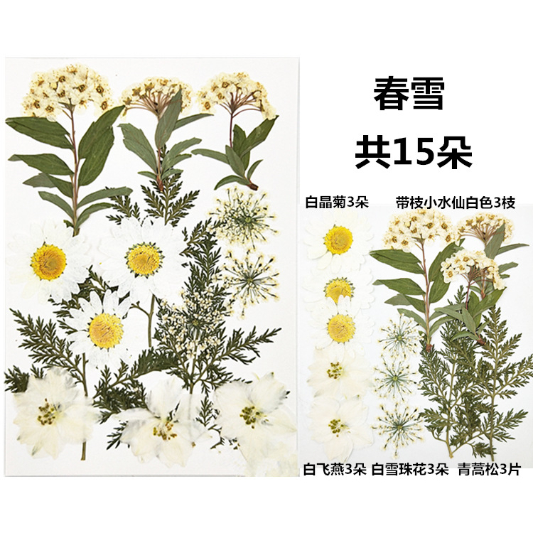 【 🌸 พร้อมส่ง ] 🌸 18pcs ดอกไม้จริงดอกไม้แห้งลายนูนหลายสไตล์ตัวเลือก DIY ทำด้วยมือวัสดุ