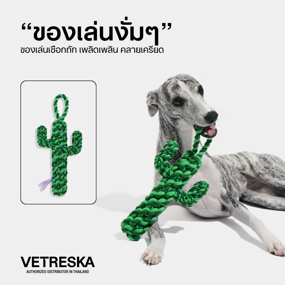 ETRESKSA ของเล่นสุนัข เชือก Oasis Cactus Knot Rope Toy