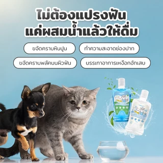 Petcho น้ำยาบ้วนปากสำหรับสัตว์เลี้ยง Probiotic ลดคราบหินปูน ลดกลิ่นปาก สูตรอ่อนโยน ดูแลสุขภาพช่องปาก