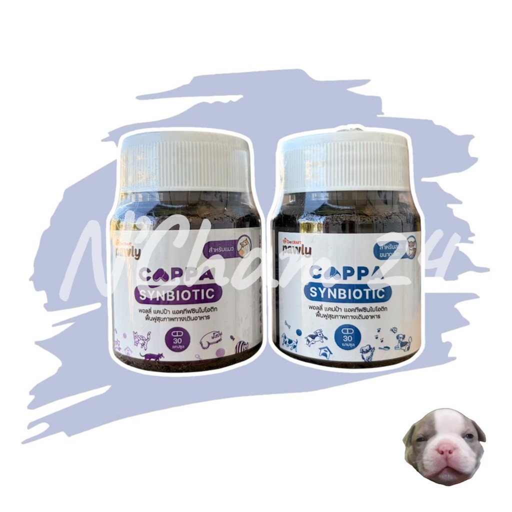 Pawly Cappa (หมดอายุ3/27)ผลิตภัณฑ์รักษาสมดุลในระบบทางเดินอาหารของสุนัขและแมว