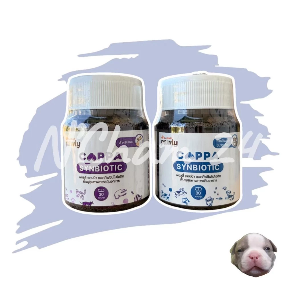 Pawly Cappa (หมดอายุ3/27)ผลิตภัณฑ์รักษาสมดุลในระบบทางเดินอาหารของสุนัขและแมว