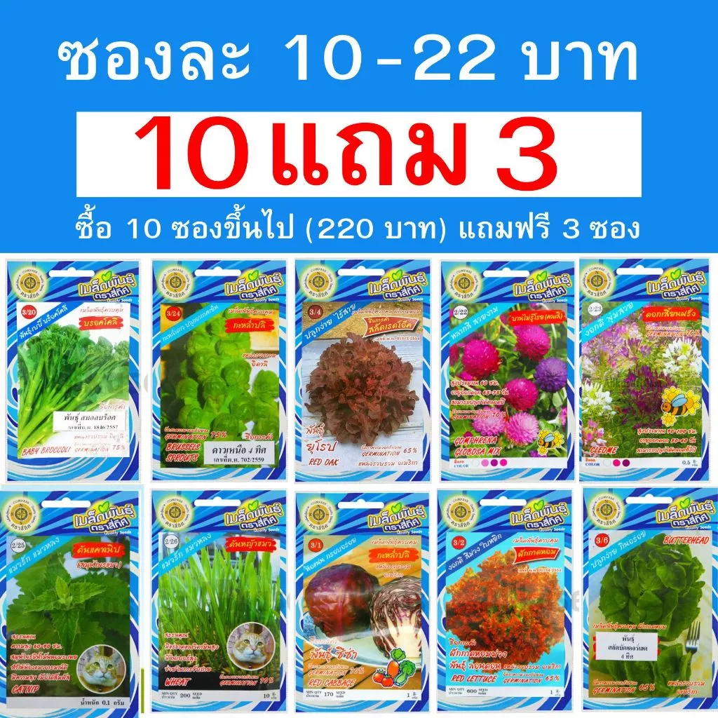 เมล็ดผัก สี่ทิศ ซองฟ้า ซื้อ 10 ซองขึ้นไป (220 บาท) แถมฟรี 3 ซอง