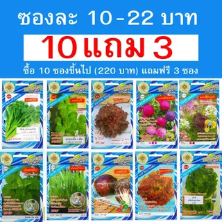 เมล็ดผัก สี่ทิศ ซองฟ้า ซื้อ 10 ซองขึ้นไป (220 บาท) แถมฟรี 3 ซอง