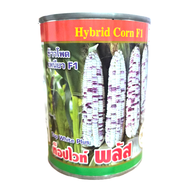 ข้าวโพดข้าวเหนียว ขาวม่วง ท๊อปไวท์ พลัส 100 กรัม ตราแพะทอง ราคา ถูกที่สุด ดีลบีเคเค รูปภาพหลัก