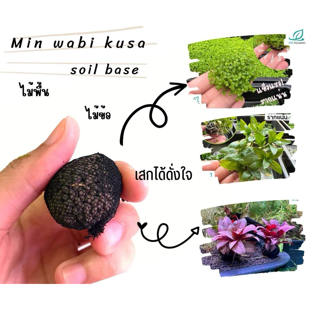 wabi kusa soi base ลูกดินวาบิ สำหรับมัดต้นไม้ ทำบอนไซ มัดมอส อุดช่องว่างกั้นดินไหล ดินปลูกไม้น้ำ 10ลูก
