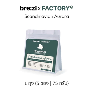 Scandinavian Aurora Ground Coffee – 1 ถุง (5 ซอง | 75g)