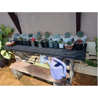 Lalamover แผ่นปูพื้นพลาสติก [10 แผ่น] ขนาด 30x100x3.4cm (รุ่นใหม่ปรับปรุง) ปูป้องกันแผลสัตว์เลี้ยง