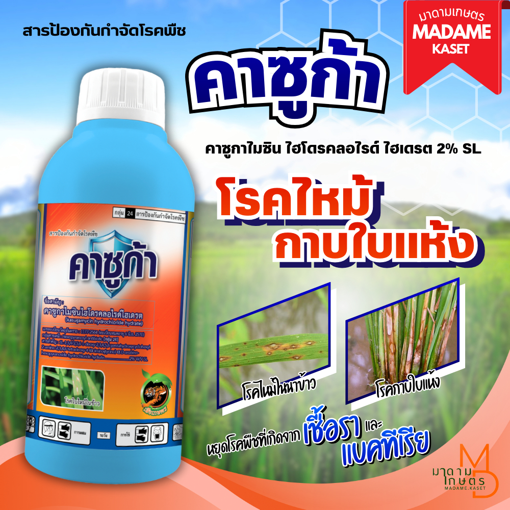โฉมใหม่! คาซูก้า-คาซูกาไมซิน ไฮโดรคลอไรด์ ไฮเดรต 2% ป้องกันกำจัดโรคพืช โรคขอบใบแห้ง ใบไหม้ กาบใบแห้ง ใบจุดสีน้ำตาล 1L