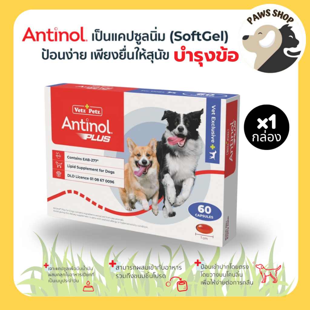[ของแท้ 100%][1 กล่อง] แอนทินอล Antinol® EAB 277™ บำรุงข้อ กระดูก สุนัขทานได้ตั้งแต่ 6 เดือนขึ้นไป