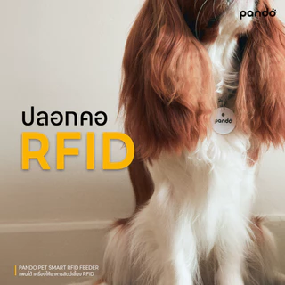 Pando Pet Smart RFID Feeder แพนโด้ เครื่องให้อาหารอัตโนมัติ RFID