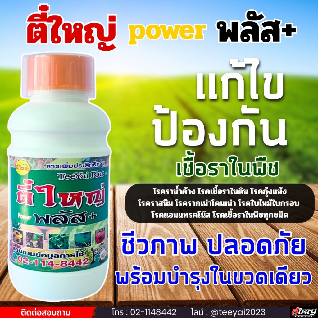 ตี๋ใหญ่พาวเวอร์พลัส ป้องกันและแก้ไขโรคเชื้อราทุกชนิด สารเสริมประสิทธิภาพ(น้ำดำ) ขนาด500cc และ1000cc - รูปที่ 3