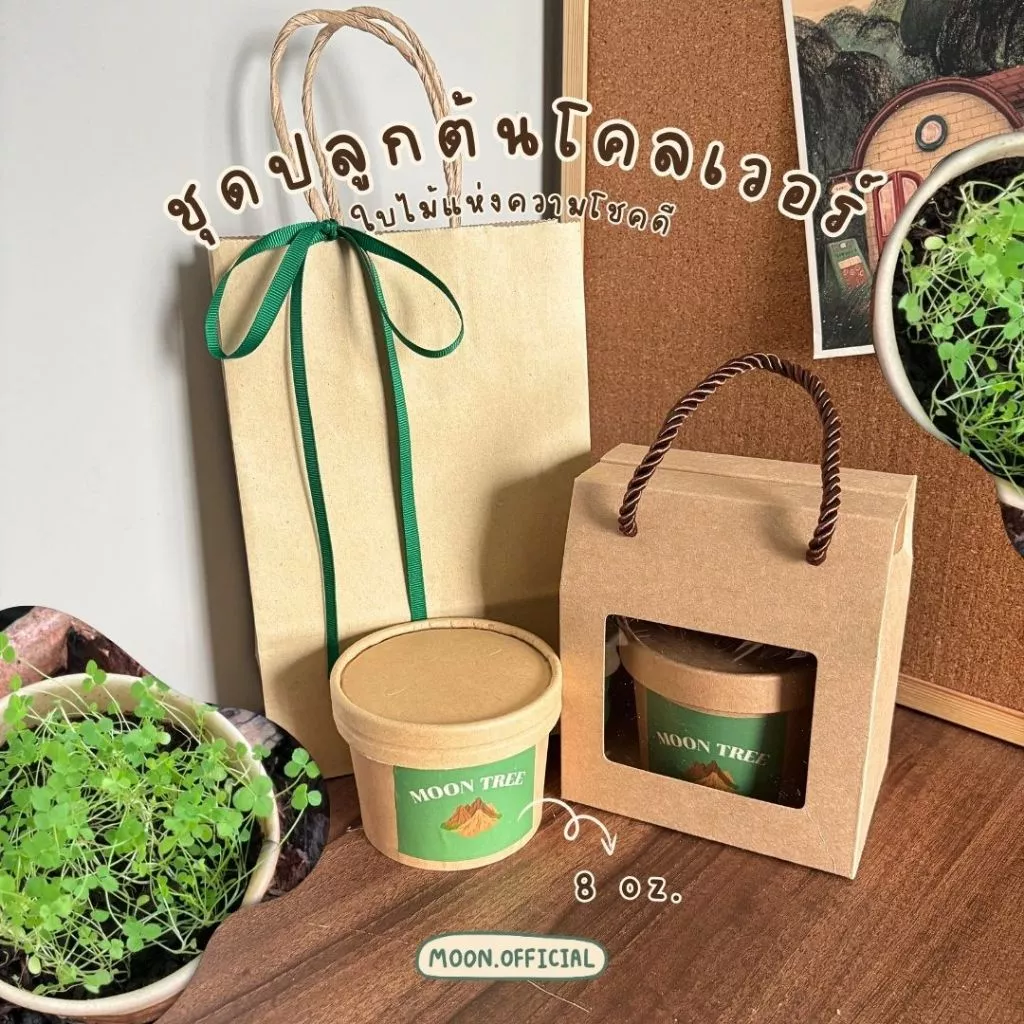 📍มีราคาส่ง📍 MOON TREE ชุดพร้อมปลูกโคลเวอร์ (Clover) ร้าน [Moon] ขนาด 8 oz.