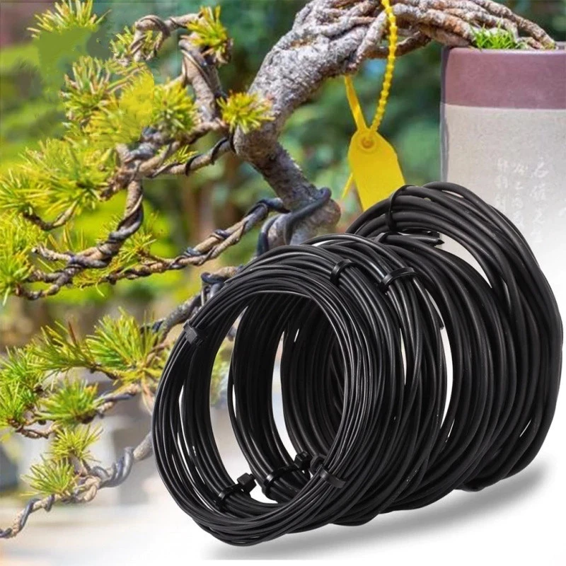 5เมตร1/2/3มิลลิเมตรสีดําบอนไซลวดอโนไดซ์อลูมิเนียมบอนไซการฝึกอบรมลวดสวน ทําเอง เครื่องมือสําหรับพืชรูปร่างสวนเครื