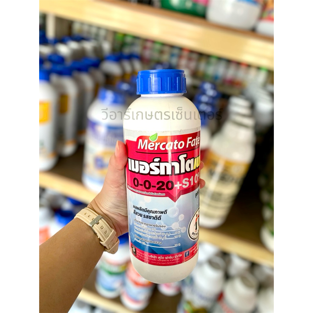 เมอร์กาโตเฟต 0-0-20+S10% ตราหญิงงาม เพิ่มแป้ง เพิ่มน้ำตาล เร่งสี เพิ่มความหวาน ขนาด1ลิตร ราคา ถูกที่สุด ดีลบีเคเค แกลเลอรีภาพที่ 2