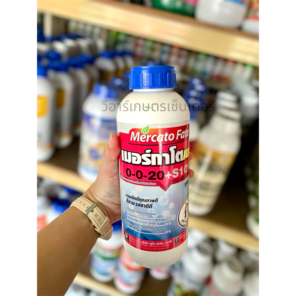 เมอร์กาโตเฟต 0-0-20+S10% ตราหญิงงาม เพิ่มแป้ง เพิ่มน้ำตาล เร่งสี เพิ่มความหวาน ขนาด1ลิตร ราคา ถูกที่สุด ดีลบีเคเค แกลเลอรีภาพที่ 3