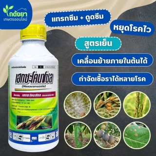 เฮกซะโคนาโซล อาชาทอง ยกลัง 1Lx12ขวด ยาเชื้อรา โรคพืช