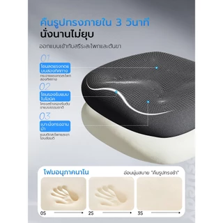 Xpanse X-π เก้าอี้สุขภาพ รองรับเอวไดนามิก เก้าอี้เพื่อสุขภาพ เบาะตาข่ายนุ่ม นั่งสบายไม่อึดอัดไม่ร้อน เก้าอี้สำนักงาน