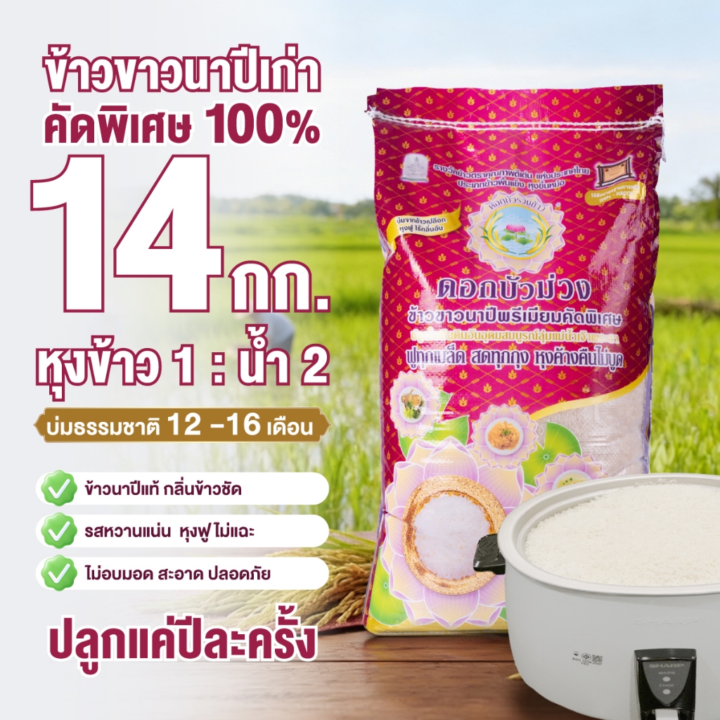 เสาไห้เก่าแท้ 12เดือน บัวม่วง (นาปี) ขึ้นหม้อมาก ร่วนฟู บูดยาก (14 กก.)