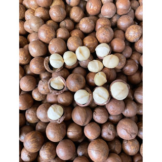 #Jingjingshop#แมคคาเดเมียอบเนย1000กรัมMacadamiaถั่วอบธรรมชาต…