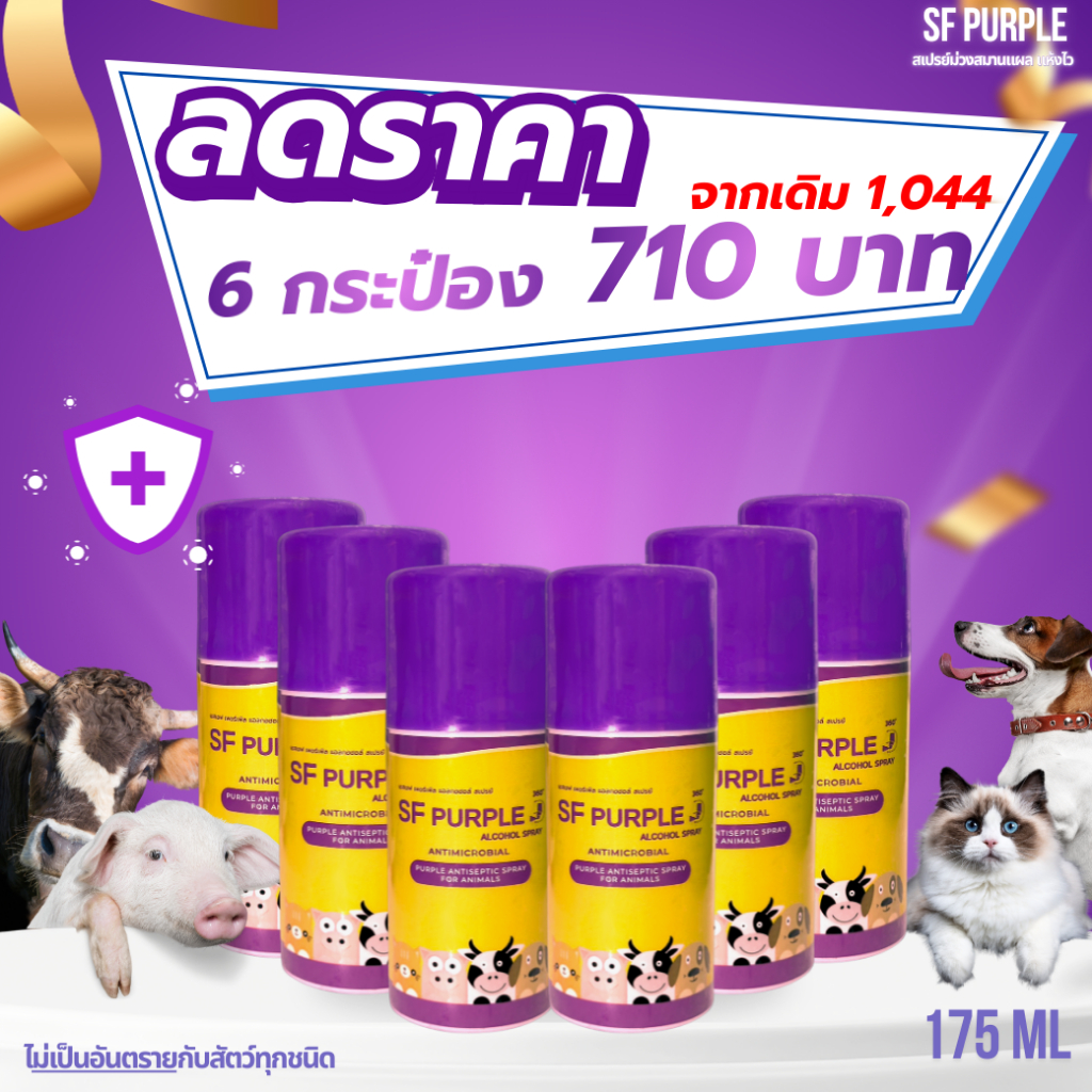 (ลดราคาพิเศษ) สเปรย์ม่วงสมานแผลสัตว์ 6 กระป๋อง ราคา 720 บาทจากราคา 1,044 บาท (SF PURPLE ALCOHOL HAND SPRAY)